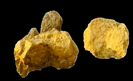 Armoured Rocks - Gold Close-Up